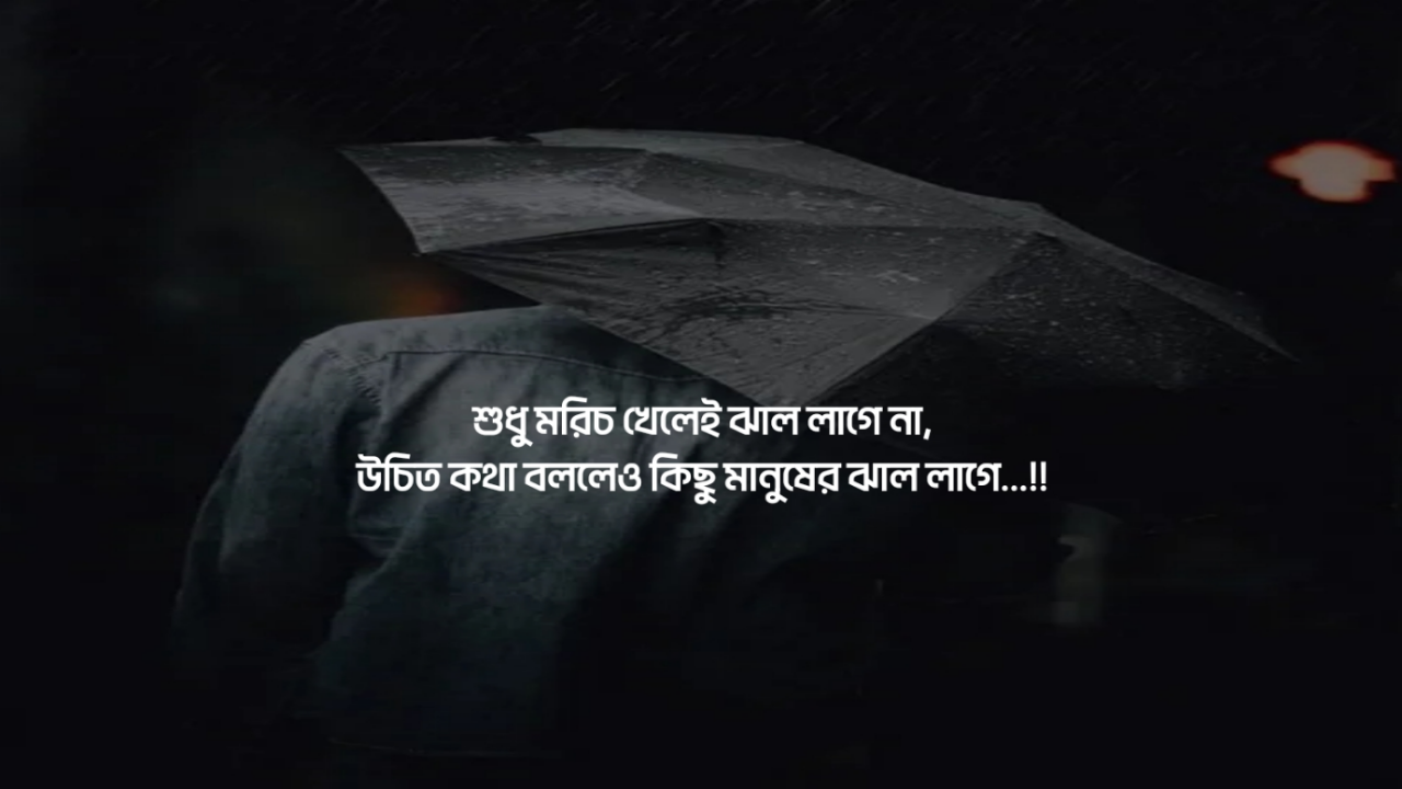 banglamsg.blog